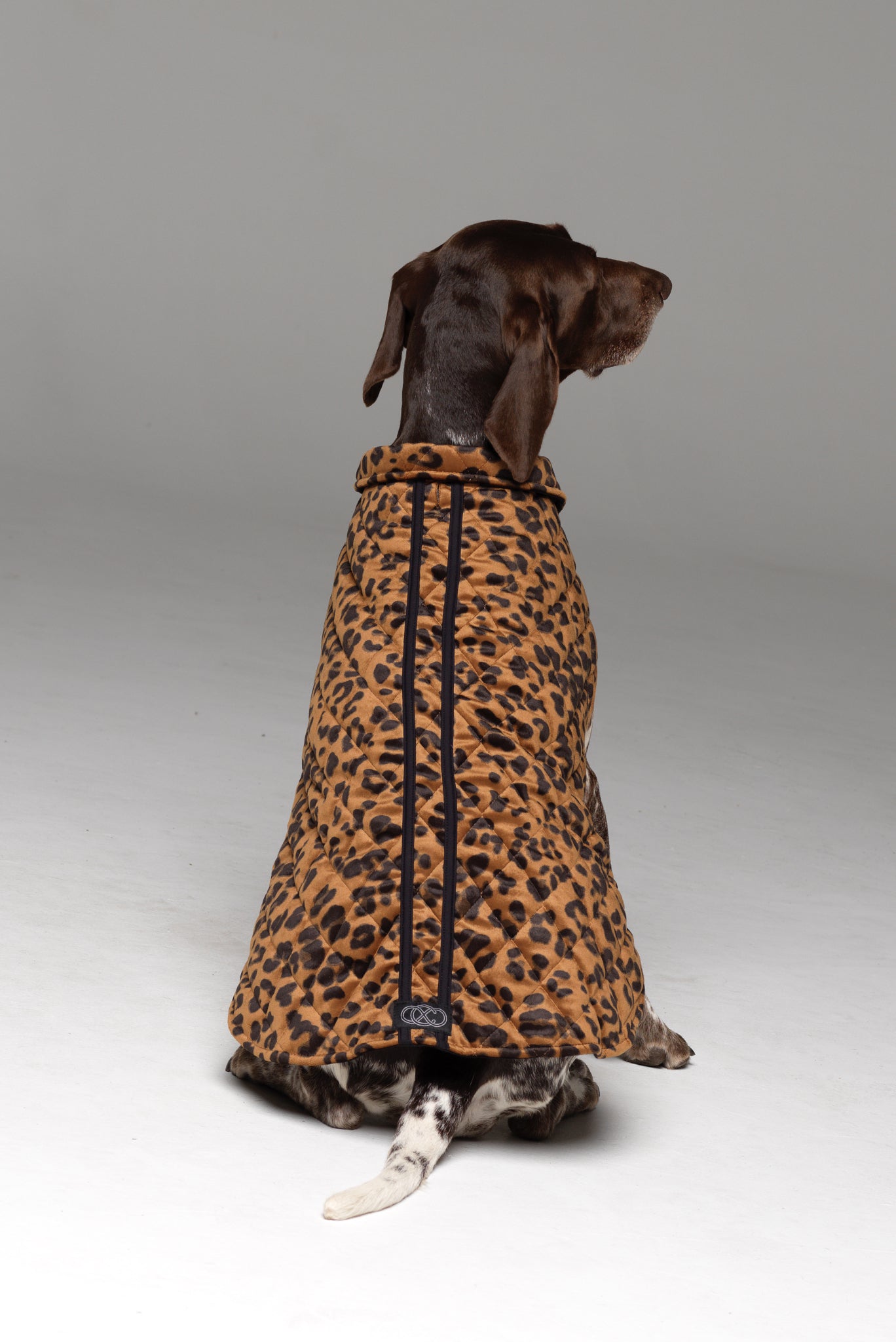 Dog on sale print coat